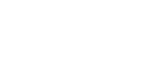 Logo Databricks